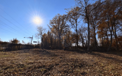 Why You Should Always Hire a Pro for Land Clearing Projects